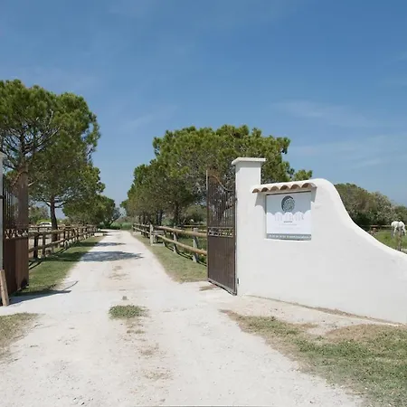 Bed & Breakfast Mas Lou Caloun - D'hote Face A La Piscine En Camargue - Les Maries De La Saintes-Maries-de-la-Mer