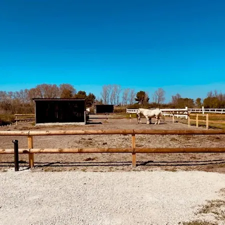 Mas Lou Caloun - D'hote Face A La Piscine En Camargue - Les Maries De La Bed & Breakfast *