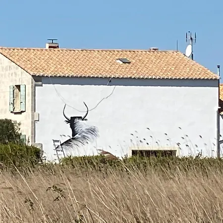 Mas Lou Caloun - D'hote Face A La Piscine En Camargue - Les Maries De La Bed & Breakfast