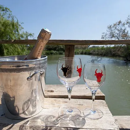 Bed & Breakfast Mas Lou Caloun - D'hote Face A La Piscine En Camargue - Les Maries De La
